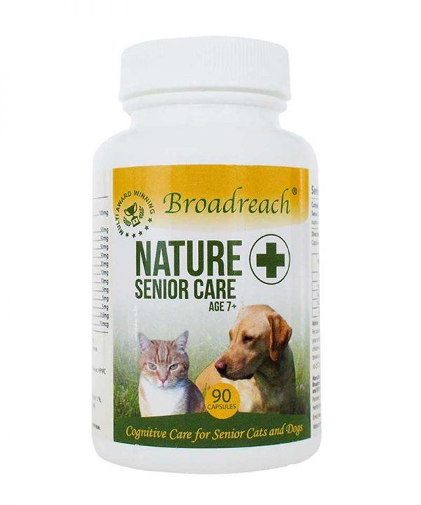 How Much Echinacea To Give Dog