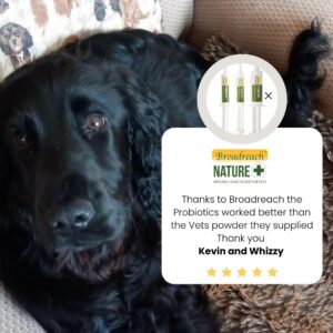 Probiotic review Broadreach Nature