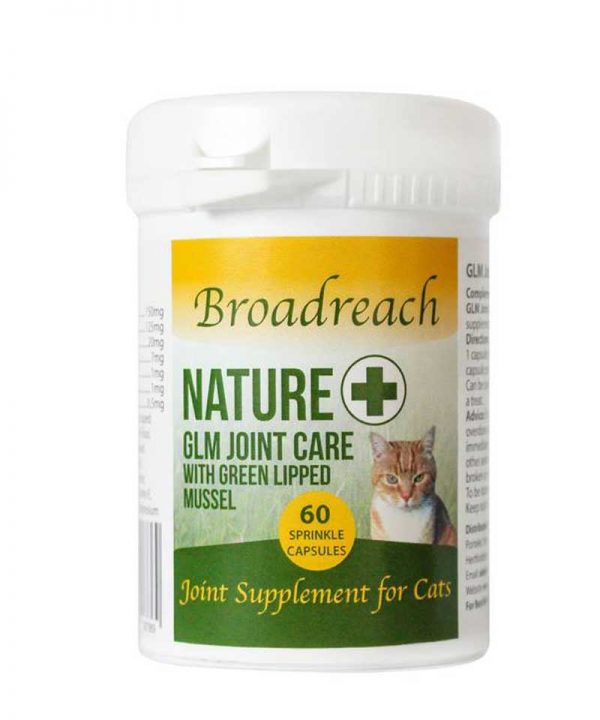 Cat arthritis supplements best sale