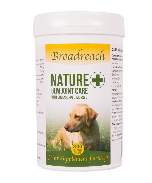 vet recommended dog joint supplements