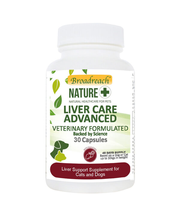 Liver care 30