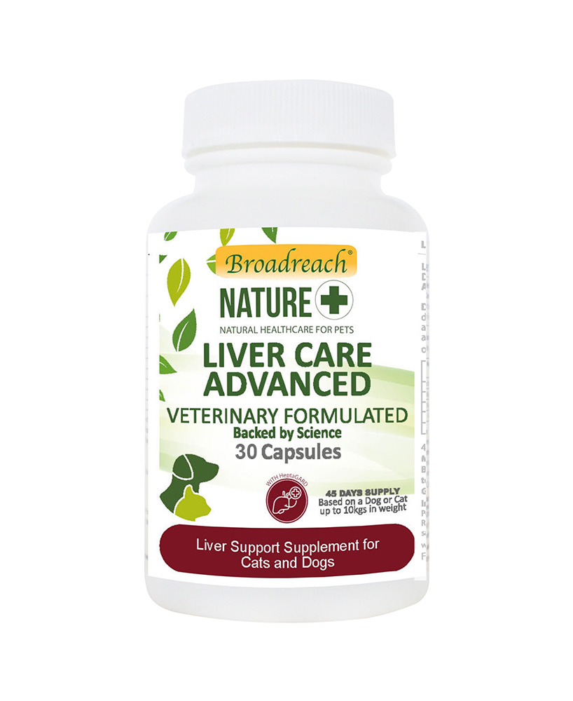 Liver supplements shops for cats