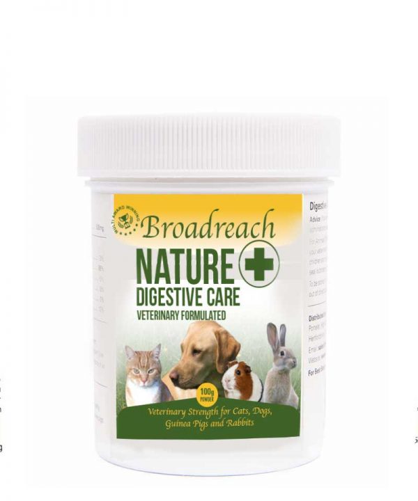 Digestion Supplements For Cats Broadreach Nature