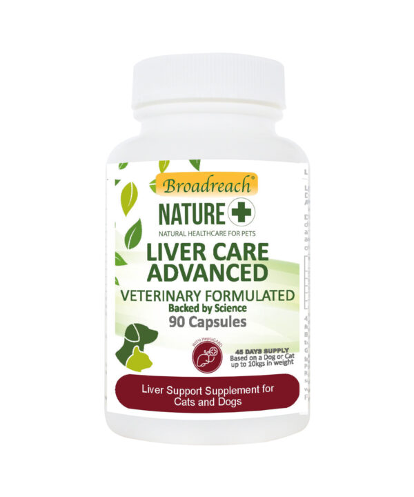 Liver Care Advanced