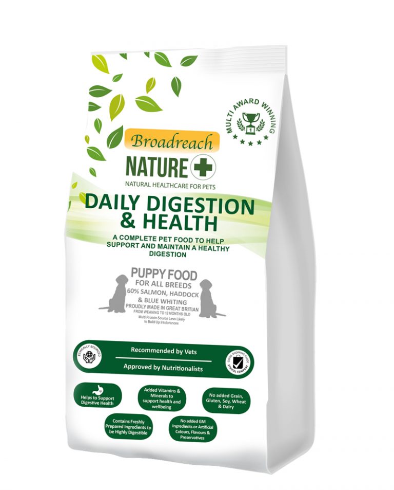 How to improve your dog’s digestive system – Broadreach Nature