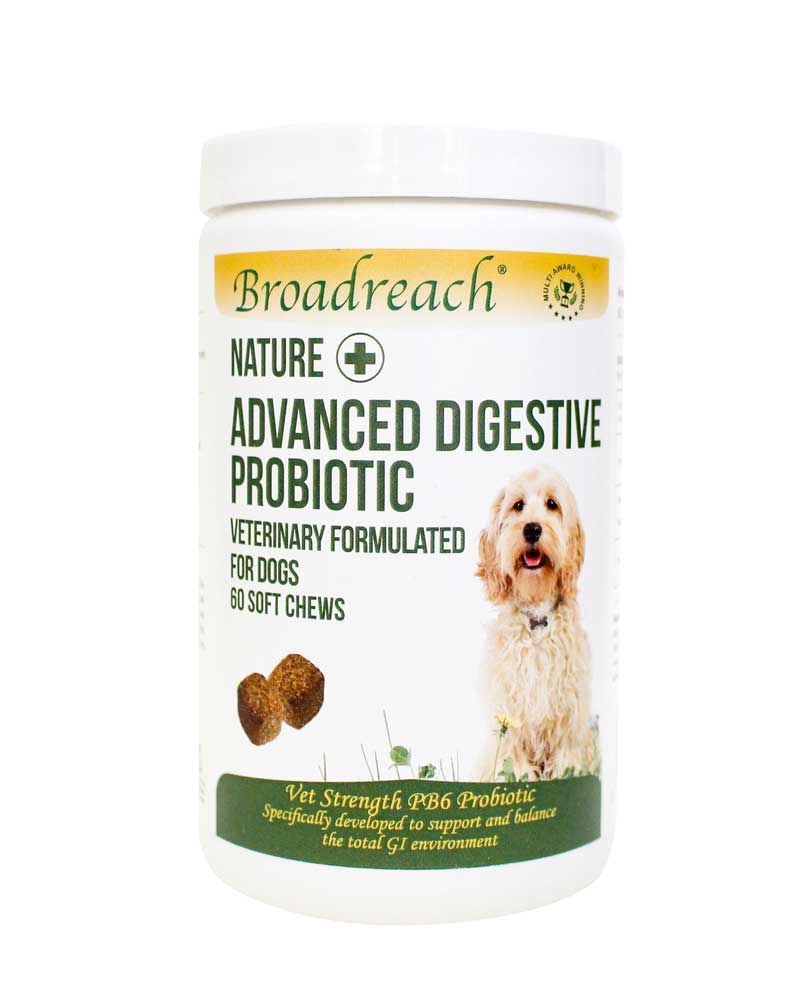 Advanced digestive probiotic chews for Dogs, Veterinary Formulated