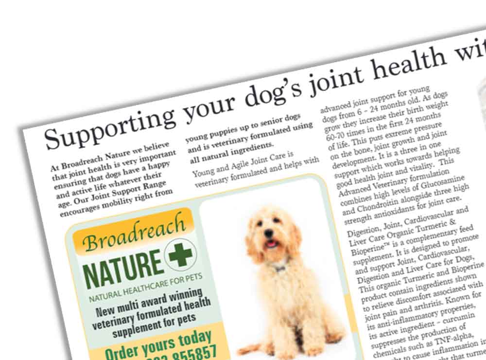 Natural pet supplements - Our dogs article