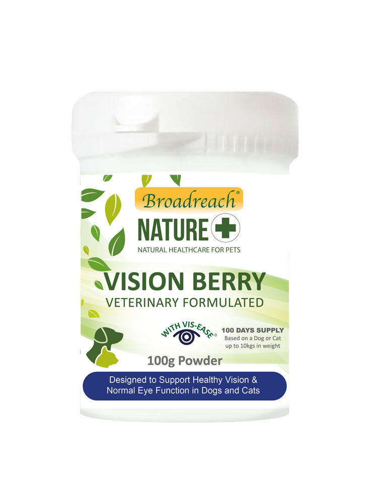 VIsion berry