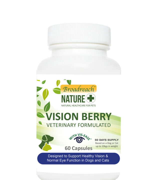 Vision Berry Capsules