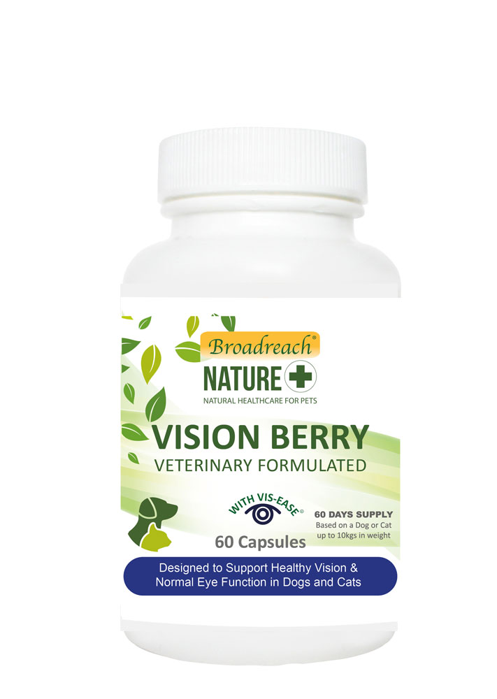 Vision Berry Capsules