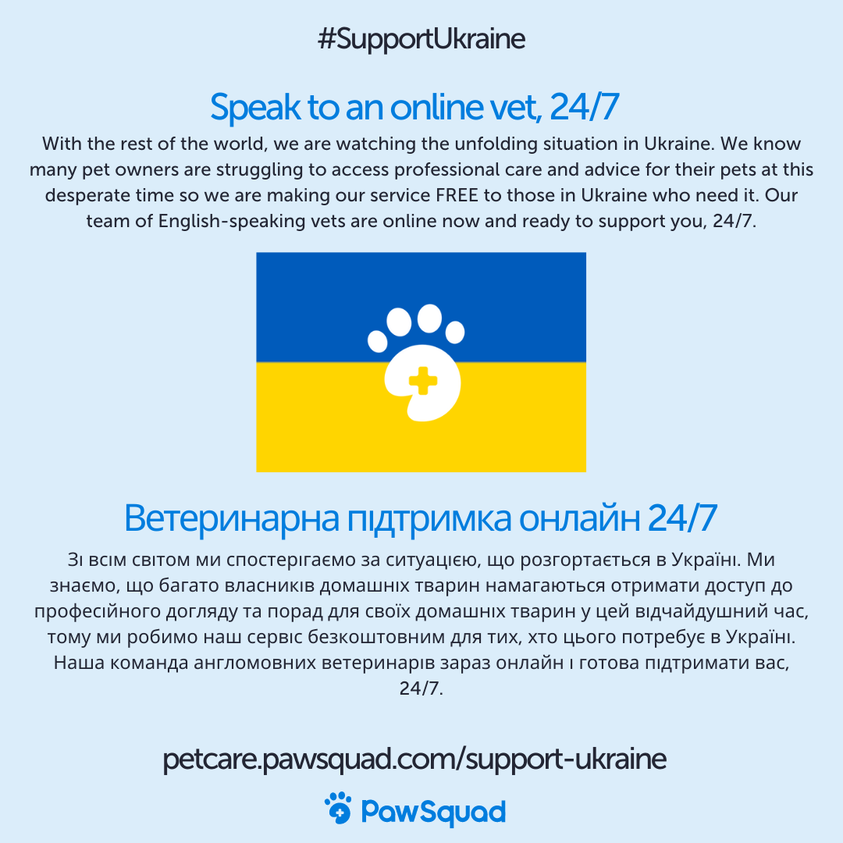 Ukraine vet support