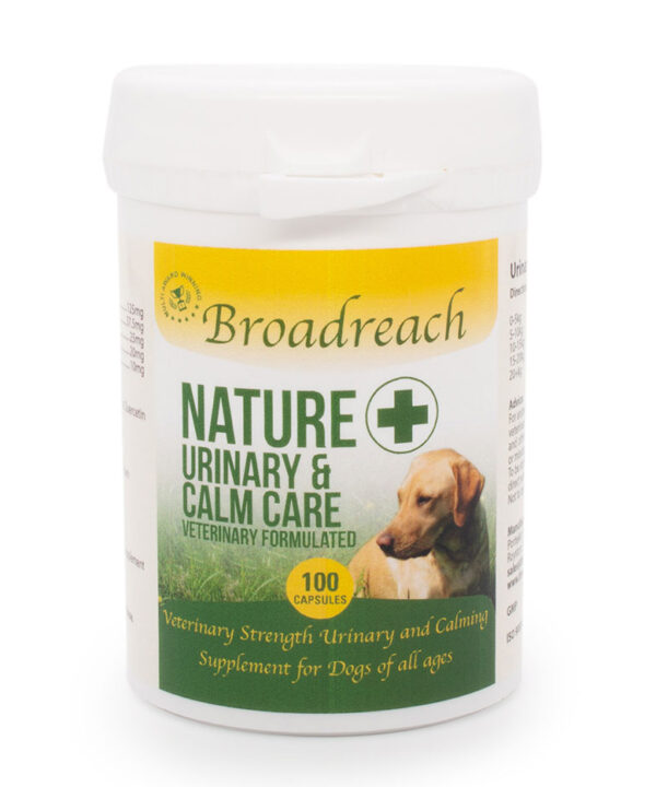 Calming Supplements For Dogs Natural, Vet Products