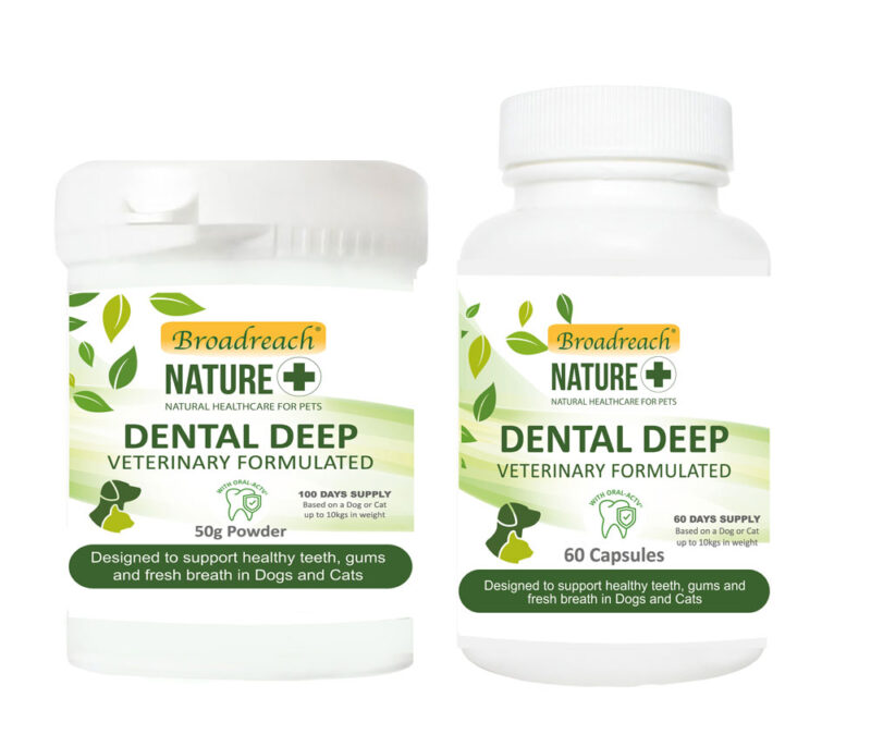 New Dental Range for Broadreach Nature Broadreach Nature
