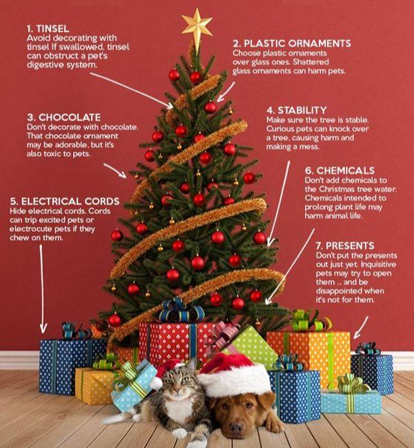 Are Fake Christmas Trees Safe For Dogs